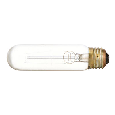 TRUE E801112 High Temperature Shatterproof Lamp PFA-Coated 250&deg; 130V/25W