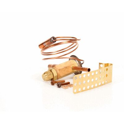 Emerson GT-06051-1 1/4 Ton Low Temp Expansion Valve