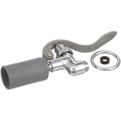 T&S Brass B-107C Spray Valve 3/8"
