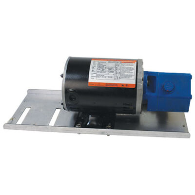Pitco PTB6683203-C Pump/Motor Assembly, 8 GPM 115/230V