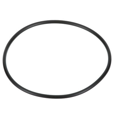 Everpure EV3112-40 O-Ring