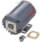 Frymaster 8261756 Pump Motor W/Gasket Kit 50/60Hz 208V
