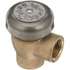 Champion 100500 Dishwasher Vacuum Breaker 1/2" FPT Bronze