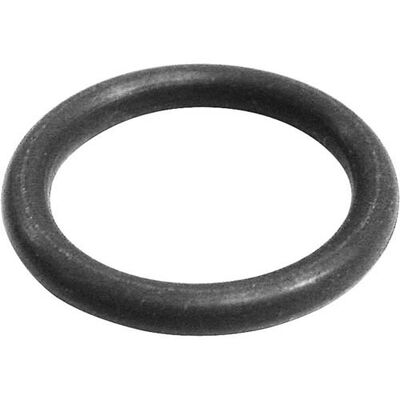 BKI (Barbeque King) O0013 O-Ring Gasket