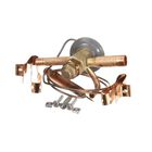 True 813301 Expansion Valve With Inlet Strainer EBFSE-AAC