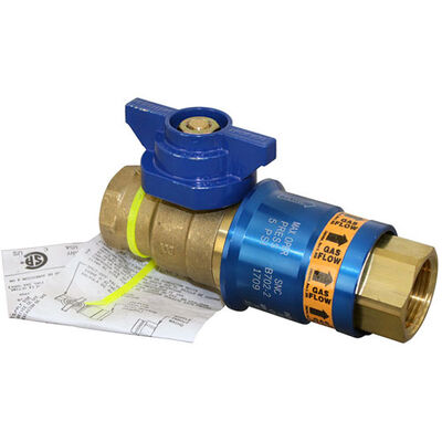 Dormont CF100 Safety Shutoff/Quick Disconnect W/Thermal Cut-Off 1" FPT
