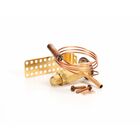 Emerson GT-06049-1 Expansion Valve 1/4 Ton R404