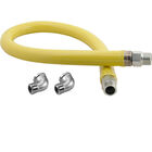 T&S Brass HG2E48 Gas Hose, 1" NPT X 48", T&S