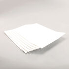 Vulcan Hart 499086G2 6-Pack KS Plus Filter I