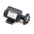 Pitco 60130807 Fryer Pump/Motor Assembly 1/3HP 5 GPM 240V