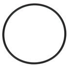 Everpure EV307119 O-Ring Water Filter