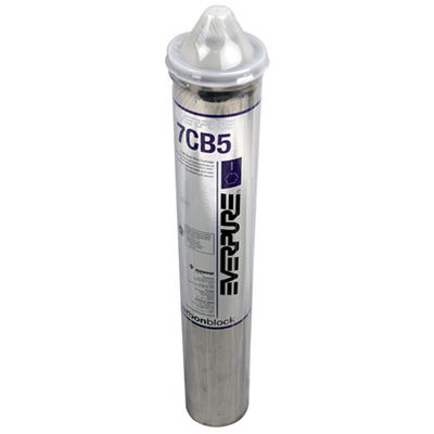 Everpure EV961816 Steamer Filter Cartridge 7Cb5 5Micron
