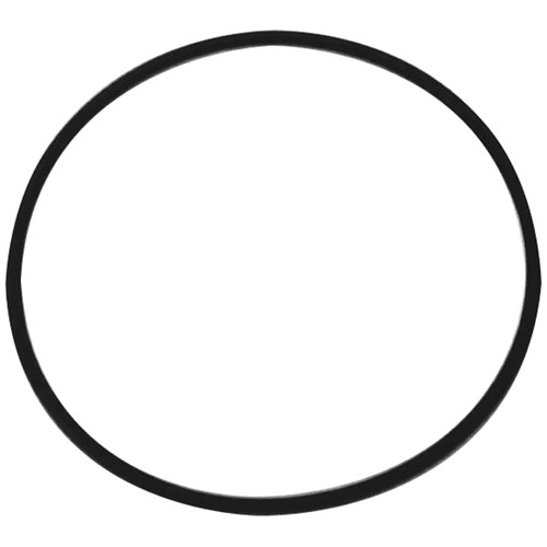 Saniserv SS58911 O-Ring Saniserve Door