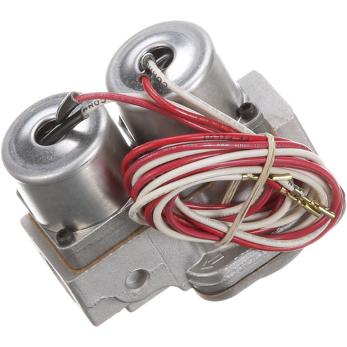 Johnson Controls G96HGA-1 Dual Solenoid Valve 1/2" 25V