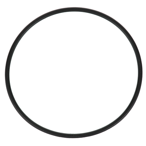 Everpure EV307119 O-Ring Water Filter