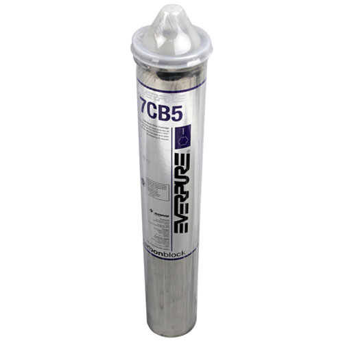 Everpure EV961816 Steamer Filter Cartridge 7Cb5 5Micron